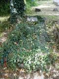image of grave number 660323